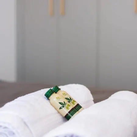 Apartament Le Royal Du Centre Nancy